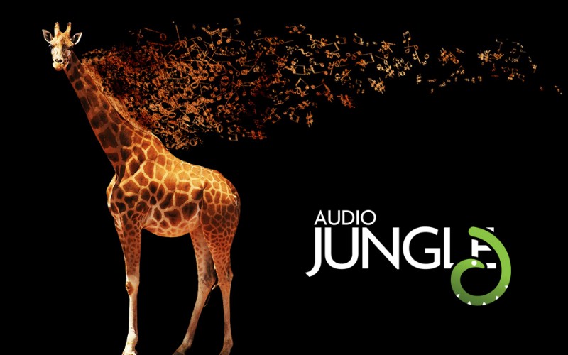  长颈鹿 Audio Jungle 创意壁纸壁纸 Audio Jungle 主题设计壁纸壁纸 Audio Jungle 主题设计壁纸图片 Audio Jungle 主题设计壁纸素材 插画壁纸 插画图库 插画图片素材桌面壁纸