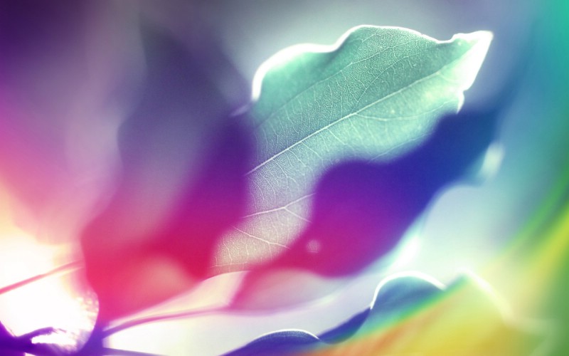 抽象背景 彩虹之色 阳光下的叶子 视觉色彩背景壁纸 抽象背景 彩虹之色壁纸 抽象背景 彩虹之色图片 抽象背景 彩虹之色素材 插画壁纸 插画图库 插画图片素材桌面壁纸