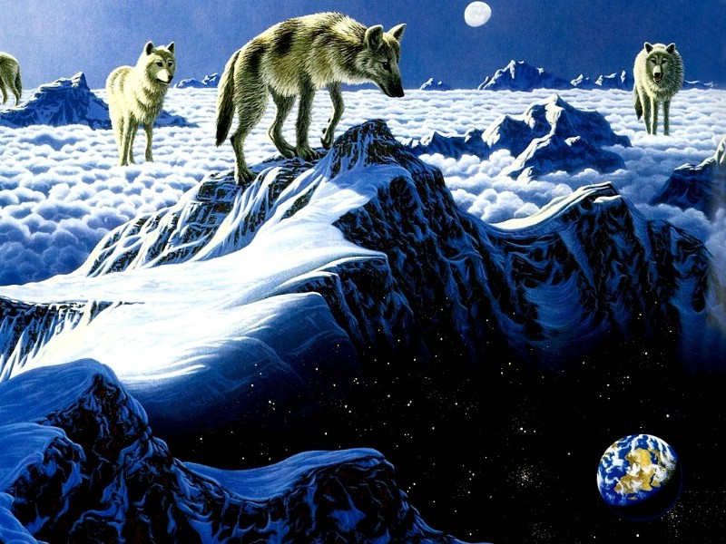 动物与星球壁纸 动物与星球壁纸 动物与星球图片 动物与星球素材 动物壁纸 动物图库 动物图片素材桌面壁纸