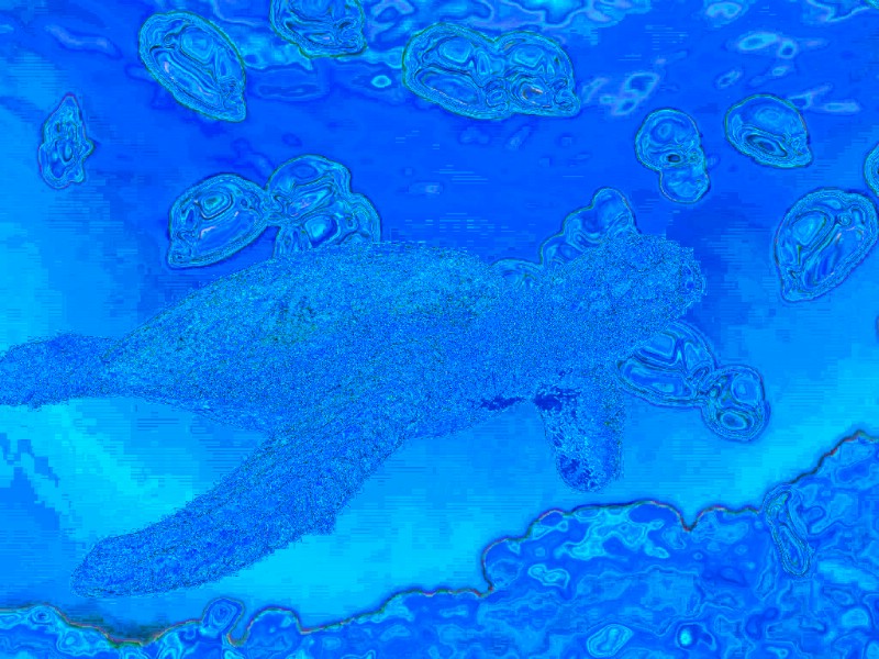 神秘色彩 海底世界生物壁纸壁纸 神秘色彩 海底世界生物壁纸壁纸 神秘色彩 海底世界生物壁纸图片 神秘色彩 海底世界生物壁纸素材 动物壁纸 动物图库 动物图片素材桌面壁纸