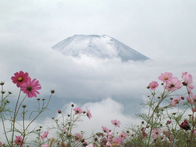 富士山 壁纸6壁纸 富士山壁纸 富士山图片 富士山素材 风景壁纸 风景图库 风景图片素材桌面壁纸
