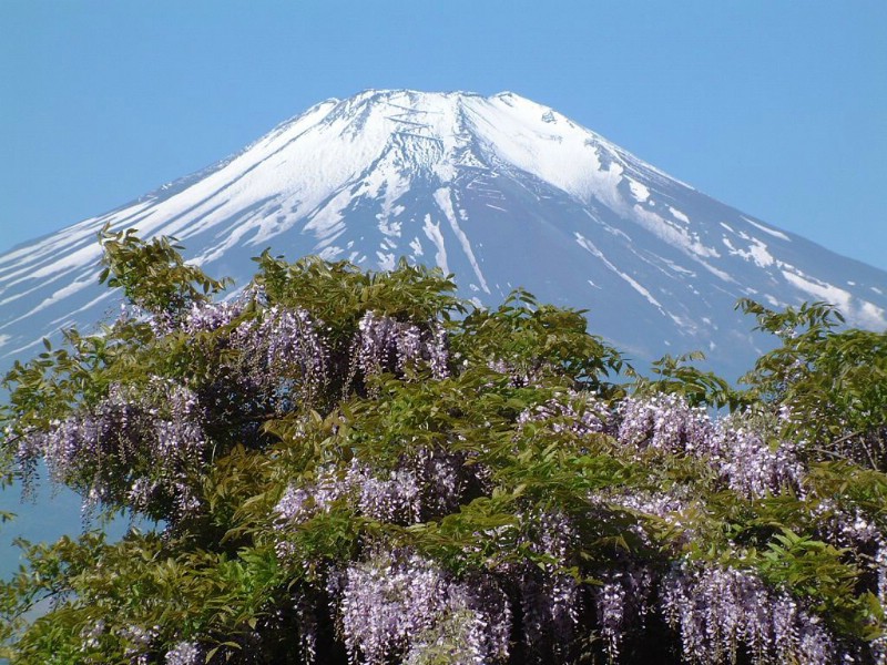富士山 壁纸9壁纸 富士山壁纸 富士山图片 富士山素材 风景壁纸 风景图库 风景图片素材桌面壁纸