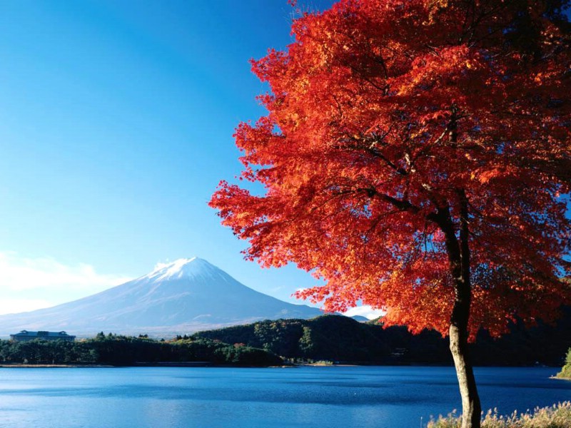 富士山 壁纸17壁纸 富士山壁纸 富士山图片 富士山素材 风景壁纸 风景图库 风景图片素材桌面壁纸