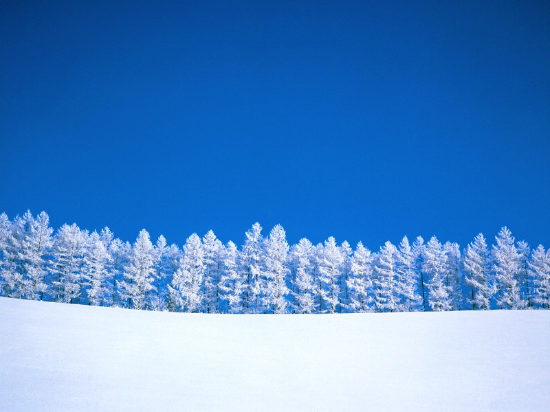 雪景图片 美丽冬天雪景壁纸壁纸 雪景图片 - 美丽冬天雪景壁纸壁纸 雪景图片 - 美丽冬天雪景壁纸图片 雪景图片 - 美丽冬天雪景壁纸素材 风景壁纸 风景图库 风景图片素材桌面壁纸