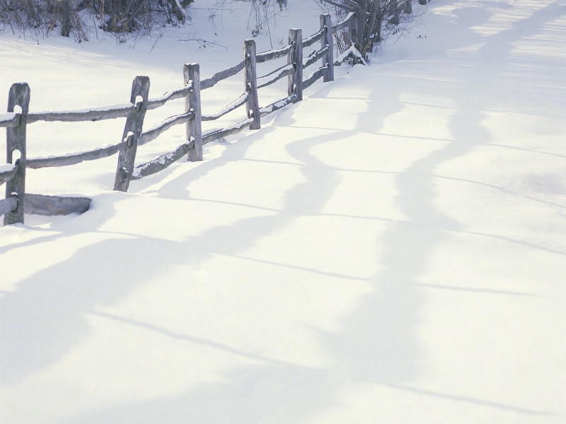 雪景图片 美丽冬天雪景壁纸壁纸 雪景图片 - 美丽冬天雪景壁纸壁纸 雪景图片 - 美丽冬天雪景壁纸图片 雪景图片 - 美丽冬天雪景壁纸素材 风景壁纸 风景图库 风景图片素材桌面壁纸