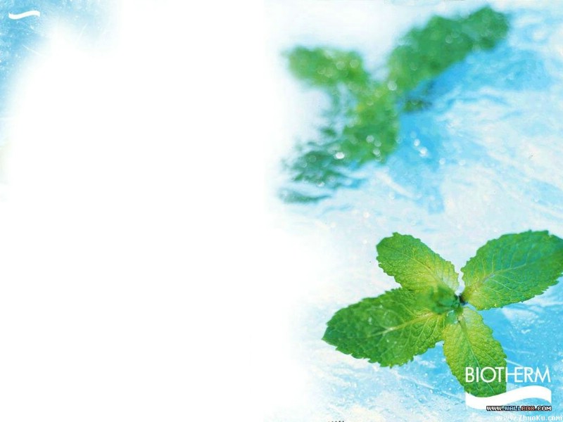 法国化妆品牌Biotherm 碧欧泉广告壁纸 壁纸66壁纸 法国化妆品牌Biot壁纸 法国化妆品牌Biot图片 法国化妆品牌Biot素材 广告壁纸 广告图库 广告图片素材桌面壁纸
