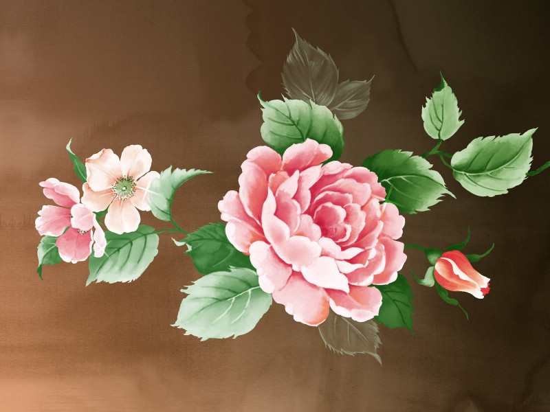 合成花卉 2 5壁纸 合成花卉壁纸 合成花卉图片 合成花卉素材 花卉壁纸 花卉图库 花卉图片素材桌面壁纸