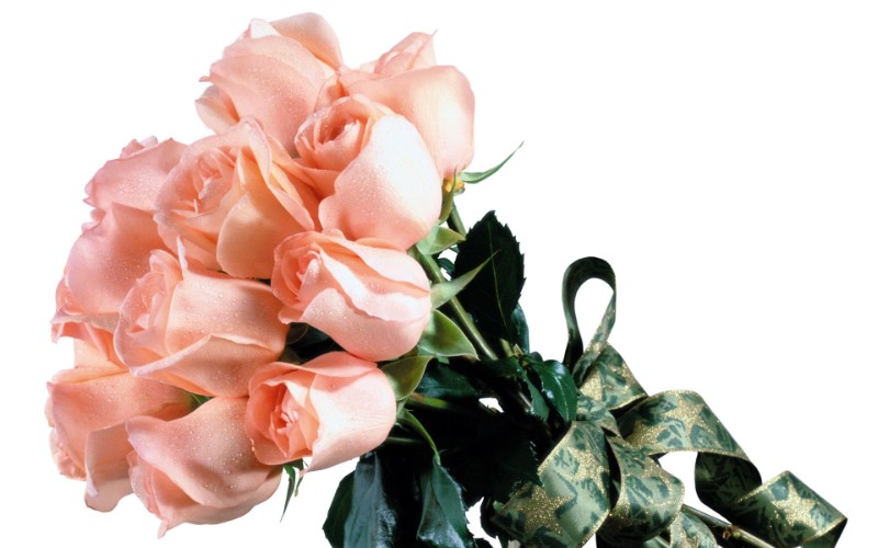 玫瑰写真 3 12壁纸 玫瑰写真壁纸 玫瑰写真图片 玫瑰写真素材 花卉壁纸 花卉图库 花卉图片素材桌面壁纸