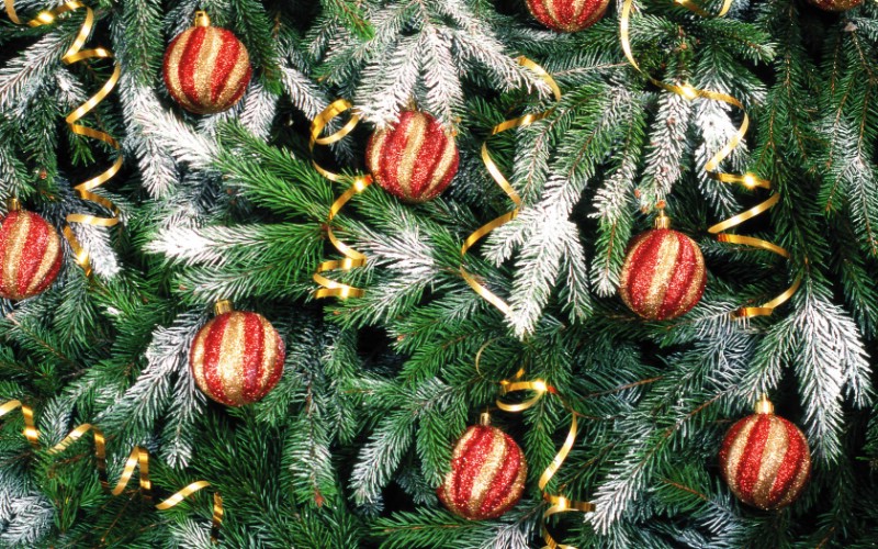 五彩圣誕樹(shù)壁紙 繽紛圣誕樹(shù)掛飾 Colorful Christmas Trees Christmas Trees Decoration Wallpaper壁紙 2007 繽紛圣誕樹(shù)裝飾掛件壁紙 2007 繽紛圣誕樹(shù)裝飾掛件圖片 2007 繽紛圣誕樹(shù)裝飾掛件素材 節(jié)日壁紙 節(jié)日?qǐng)D庫(kù) 節(jié)日?qǐng)D片素材桌面壁紙