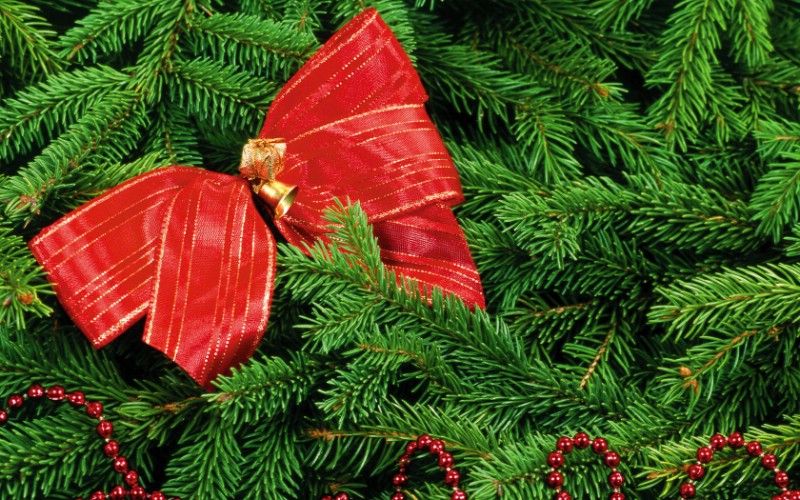 五彩圣誕樹壁紙 繽紛圣誕樹掛飾 Colorful Christmas Trees Christmas Trees Decoration Wallpaper壁紙 2007 繽紛圣誕樹裝飾掛件壁紙 2007 繽紛圣誕樹裝飾掛件圖片 2007 繽紛圣誕樹裝飾掛件素材 節(jié)日壁紙 節(jié)日圖庫 節(jié)日圖片素材桌面壁紙