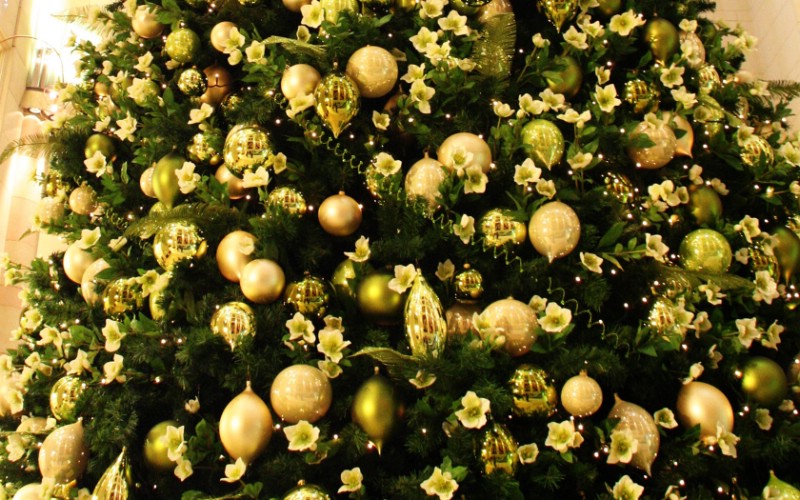 五彩圣誕樹(shù)壁紙 繽紛圣誕樹(shù)掛飾 Colorful Christmas Trees Christmas Trees Decoration Wallpaper壁紙 2007 繽紛圣誕樹(shù)裝飾掛件壁紙 2007 繽紛圣誕樹(shù)裝飾掛件圖片 2007 繽紛圣誕樹(shù)裝飾掛件素材 節(jié)日壁紙 節(jié)日?qǐng)D庫(kù) 節(jié)日?qǐng)D片素材桌面壁紙