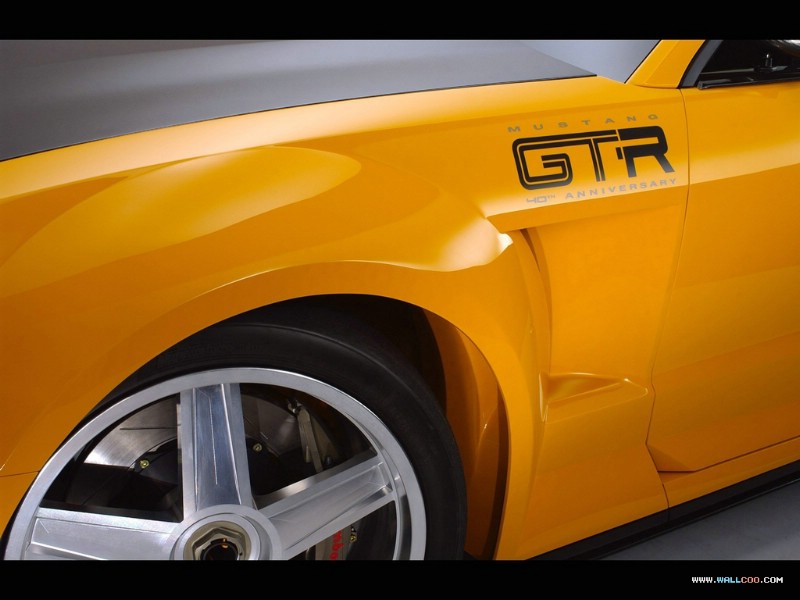 Mustang GT R concept 福特野马GT R概念车壁纸 Mustang GT R concept Car 福特野马GT R概念车壁纸壁纸 Mustang GT-R concept福特野马GT-R概念车壁纸壁纸 Mustang GT-R concept福特野马GT-R概念车壁纸图片 Mustang GT-R concept福特野马GT-R概念车壁纸素材 汽车壁纸 汽车图库 汽车图片素材桌面壁纸