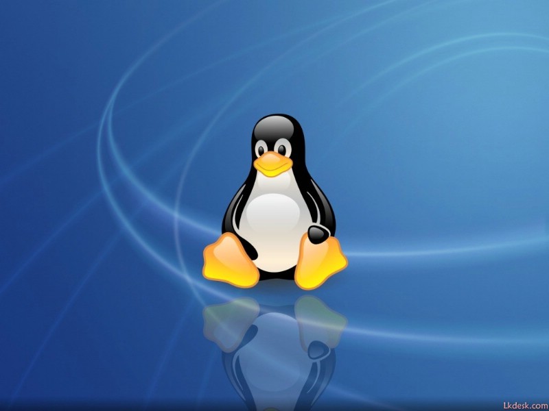 Linux系统小企鹅壁纸壁纸 Linux系统小企鹅壁纸壁纸 Linux系统小企鹅壁纸图片 Linux系统小企鹅壁纸素材 其他壁纸 其他图库 其他图片素材桌面壁纸