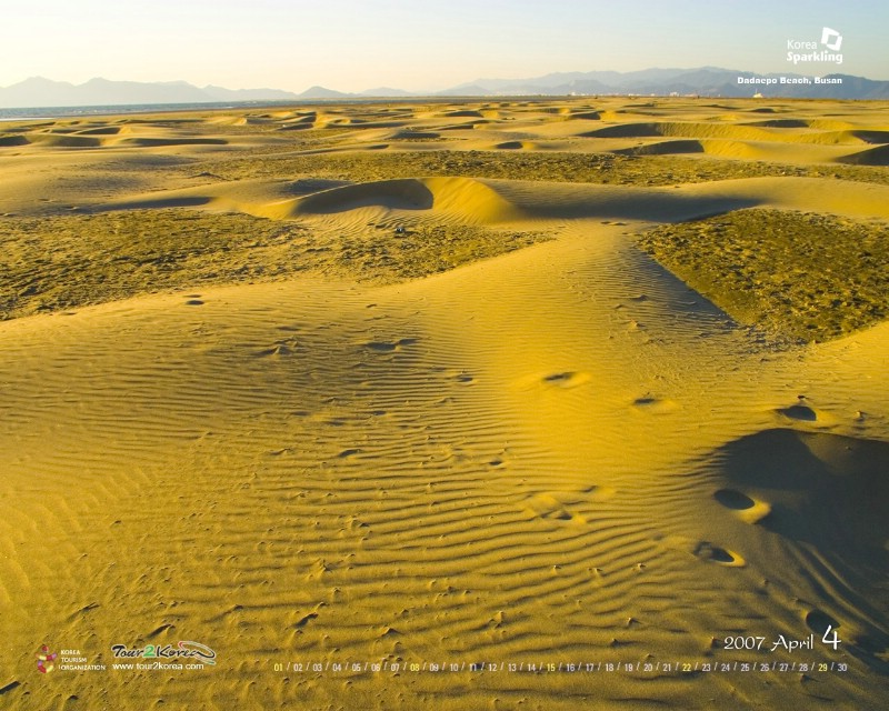 韩国旅游局官方旅游景点壁纸 韩国旅游景点 釜山多大浦 Korea Travel Dadaepo Beach Busan壁纸 韩国官方旅游景点壁纸壁纸 韩国官方旅游景点壁纸图片 韩国官方旅游景点壁纸素材 人文壁纸 人文图库 人文图片素材桌面壁纸