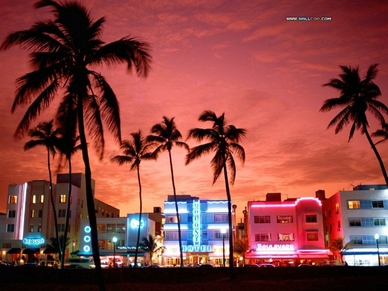  美国迈阿密夜景 Nightlife South Beach Miami Florida壁纸 世界都市夜景壁纸 世界都市夜景图片 世界都市夜景素材 人文壁纸 人文图库 人文图片素材桌面壁纸