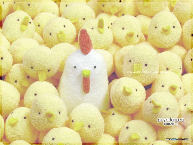 日本卡通壁纸 黄毛小鸡PIYODAMARI 日本卡通黄毛小鸡 Desktop wallpaper of Stuffed Toy Chicken壁纸 日本卡通壁纸黄毛小鸡PIYODAMARI壁纸 日本卡通壁纸黄毛小鸡PIYODAMARI图片 日本卡通壁纸黄毛小鸡PIYODAMARI素材 插画壁纸 插画图库 插画图片素材桌面壁纸