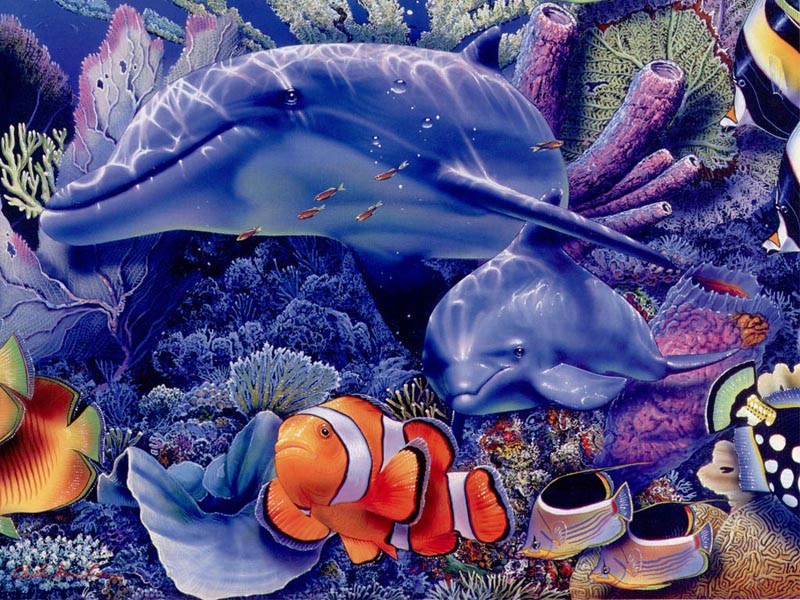 精彩的海底世界壁纸 精彩的海底世界壁纸 精彩的海底世界图片 精彩的海底世界素材 动物壁纸 动物图库 动物图片素材桌面壁纸