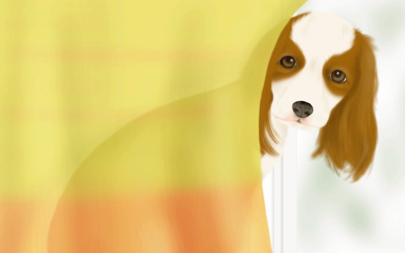  宠物狗狗的插画图片壁纸 Painter 柔和插画-我的宠物狗壁纸 Painter 柔和插画-我的宠物狗图片 Painter 柔和插画-我的宠物狗素材 动物壁纸 动物图库 动物图片素材桌面壁纸