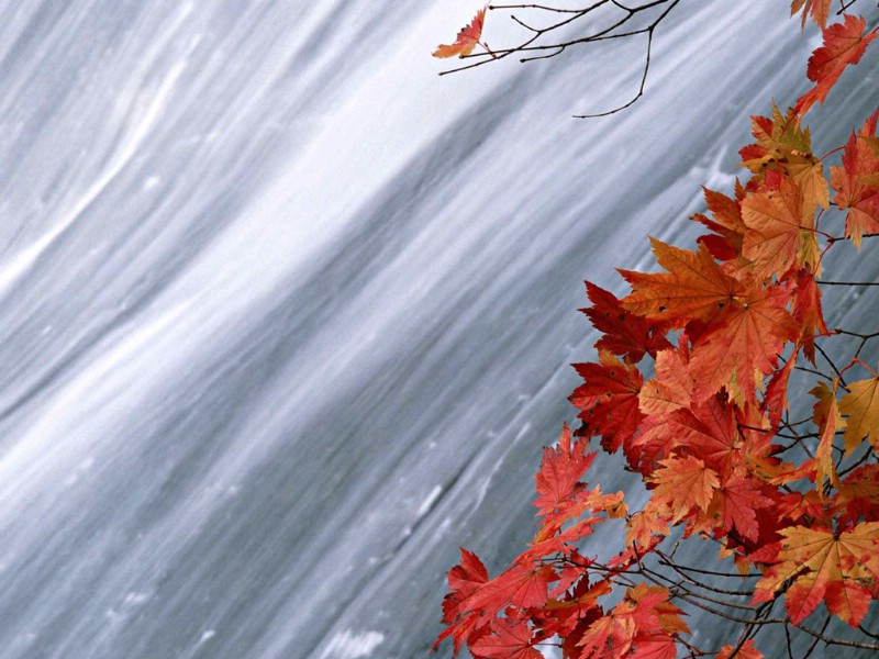 斑斓秋天壁纸 斑斓秋天壁纸 斑斓秋天图片 斑斓秋天素材 风景壁纸 风景图库 风景图片素材桌面壁纸