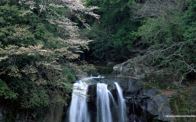  春天的图片 春季主题壁纸 Nature Scene in Spring Season壁纸 春天的气息壁纸 春天的气息图片 春天的气息素材 风景壁纸 风景图库 风景图片素材桌面壁纸