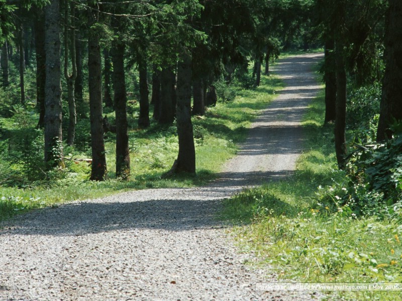 道路美景 林荫小径 林荫小径图片壁纸 Desktop Wallpaper of Green Pathway壁纸 道路美景林荫小径壁纸 道路美景林荫小径图片 道路美景林荫小径素材 风景壁纸 风景图库 风景图片素材桌面壁纸