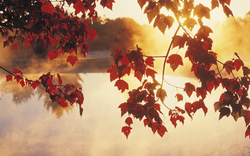 地球瑰宝 大尺寸自然风景壁纸精选 第六辑 Autumn Mist at Sunrise 日出晨雾中的秋景图片壁纸壁纸 地球瑰宝大尺寸自然风景壁纸精选 第六辑壁纸 地球瑰宝大尺寸自然风景壁纸精选 第六辑图片 地球瑰宝大尺寸自然风景壁纸精选 第六辑素材 风景壁纸 风景图库 风景图片素材桌面壁纸