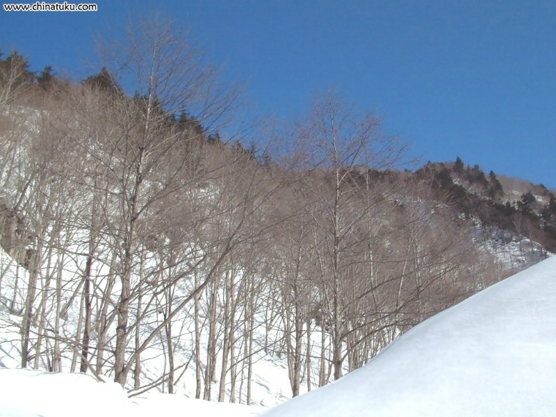 冬雪美景壁纸 冬雪美景壁纸 冬雪美景图片 冬雪美景素材 风景壁纸 风景图库 风景图片素材桌面壁纸