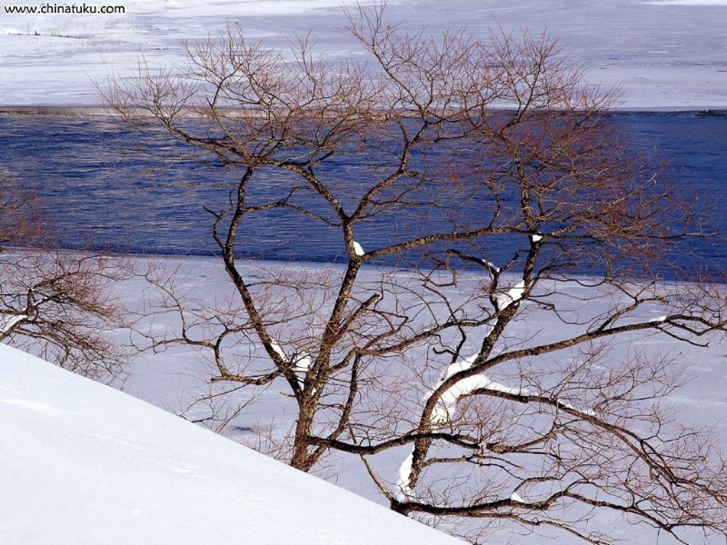 冬雪美景壁纸 冬雪美景壁纸 冬雪美景图片 冬雪美景素材 风景壁纸 风景图库 风景图片素材桌面壁纸