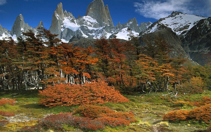 风景宽屏 第一辑 1440 900 壁纸10壁纸 风景宽屏 第一辑 1壁纸 风景宽屏 第一辑 1图片 风景宽屏 第一辑 1素材 风景壁纸 风景图库 风景图片素材桌面壁纸