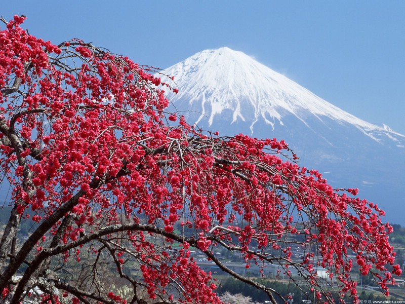 富士山风光壁纸 第三辑 第四辑 壁纸17壁纸 富士山风光壁纸 第三壁纸 富士山风光壁纸 第三图片 富士山风光壁纸 第三素材 风景壁纸 风景图库 风景图片素材桌面壁纸