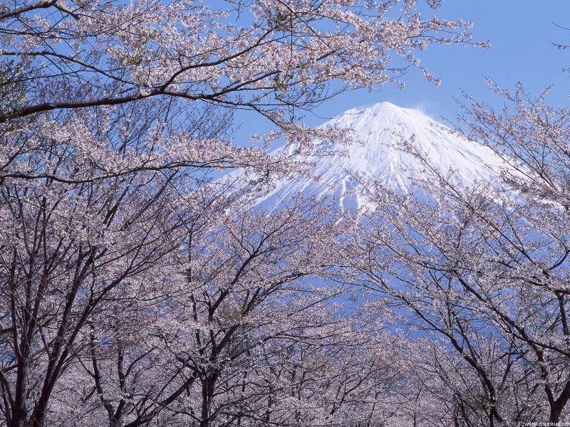 富士山风光壁纸 第三辑 第四辑 壁纸29壁纸 富士山风光壁纸 第三壁纸 富士山风光壁纸 第三图片 富士山风光壁纸 第三素材 风景壁纸 风景图库 风景图片素材桌面壁纸