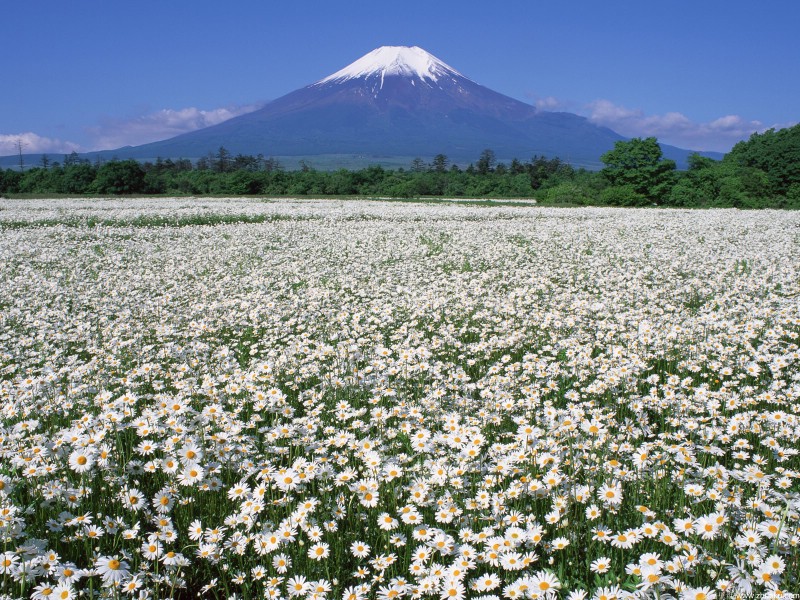 富士山风光壁纸 第三辑 第四辑 壁纸35壁纸 富士山风光壁纸 第三壁纸 富士山风光壁纸 第三图片 富士山风光壁纸 第三素材 风景壁纸 风景图库 风景图片素材桌面壁纸