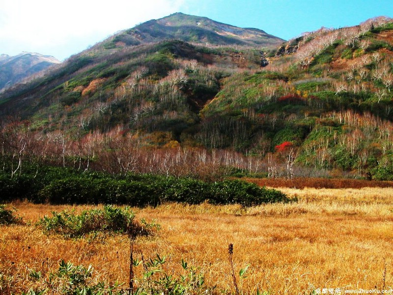 富士山 四季风景壁纸 壁纸1壁纸 富士山 四季风景壁纸壁纸 富士山 四季风景壁纸图片 富士山 四季风景壁纸素材 风景壁纸 风景图库 风景图片素材桌面壁纸