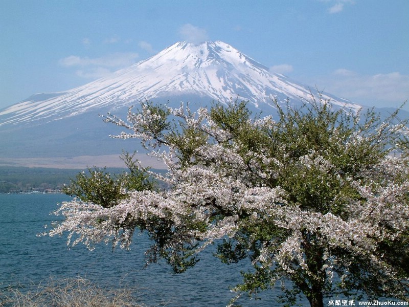 富士山 四季风景壁纸 壁纸11壁纸 富士山 四季风景壁纸壁纸 富士山 四季风景壁纸图片 富士山 四季风景壁纸素材 风景壁纸 风景图库 风景图片素材桌面壁纸