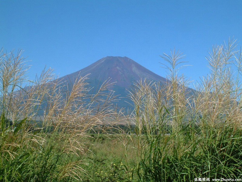 富士山 四季风景壁纸 壁纸13壁纸 富士山 四季风景壁纸壁纸 富士山 四季风景壁纸图片 富士山 四季风景壁纸素材 风景壁纸 风景图库 风景图片素材桌面壁纸