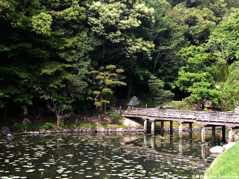 富士山 四季风景壁纸 壁纸18壁纸 富士山 四季风景壁纸壁纸 富士山 四季风景壁纸图片 富士山 四季风景壁纸素材 风景壁纸 风景图库 风景图片素材桌面壁纸