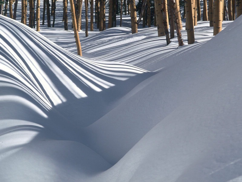 感受冬天 冰天雪地壁纸壁纸 感受冬天！冰天雪地壁纸壁纸 感受冬天！冰天雪地壁纸图片 感受冬天！冰天雪地壁纸素材 风景壁纸 风景图库 风景图片素材桌面壁纸