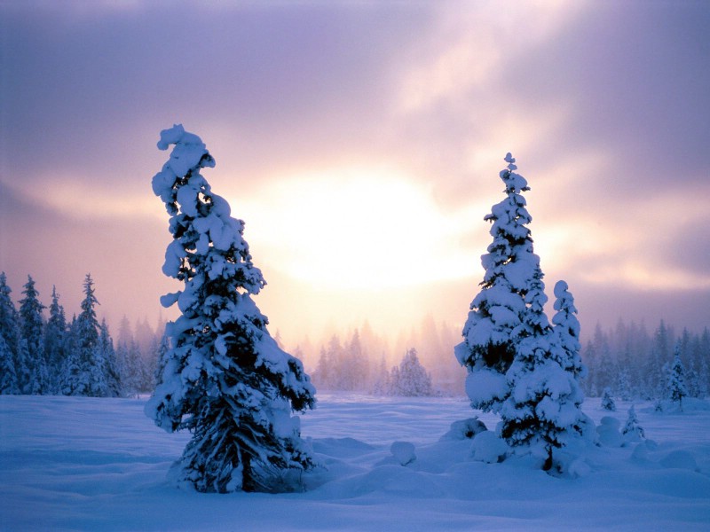 感受冬天 冰天雪地壁纸壁纸 感受冬天！冰天雪地壁纸壁纸 感受冬天！冰天雪地壁纸图片 感受冬天！冰天雪地壁纸素材 风景壁纸 风景图库 风景图片素材桌面壁纸