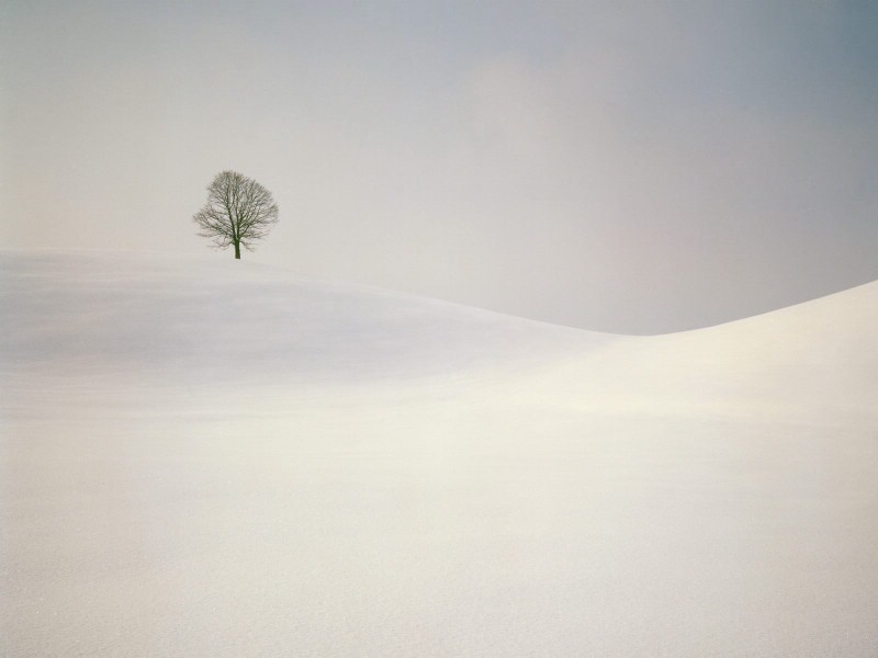 感受冬天 冰天雪地壁纸壁纸 感受冬天！冰天雪地壁纸壁纸 感受冬天！冰天雪地壁纸图片 感受冬天！冰天雪地壁纸素材 风景壁纸 风景图库 风景图片素材桌面壁纸