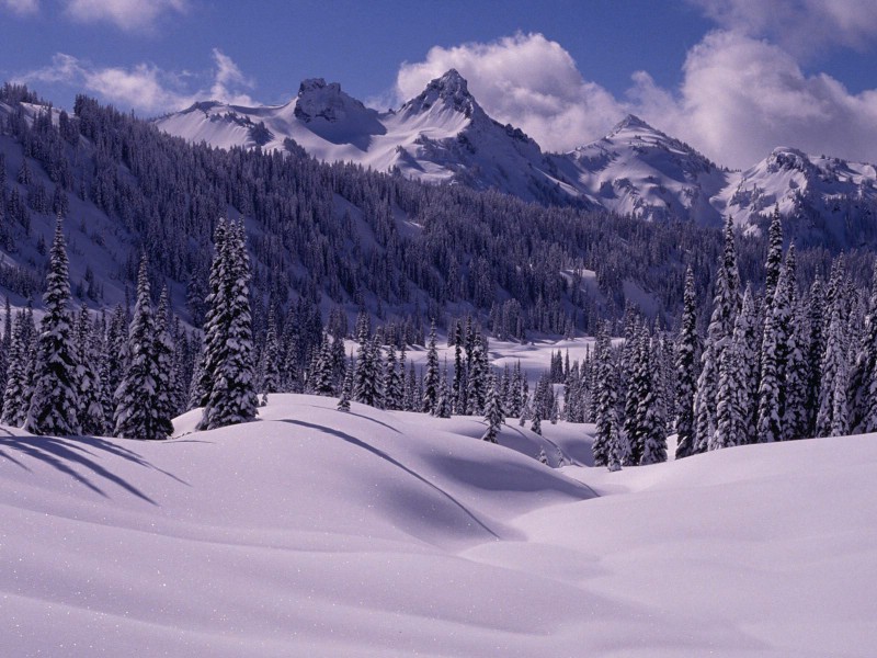 感受冬天 冰天雪地壁纸壁纸 感受冬天！冰天雪地壁纸壁纸 感受冬天！冰天雪地壁纸图片 感受冬天！冰天雪地壁纸素材 风景壁纸 风景图库 风景图片素材桌面壁纸