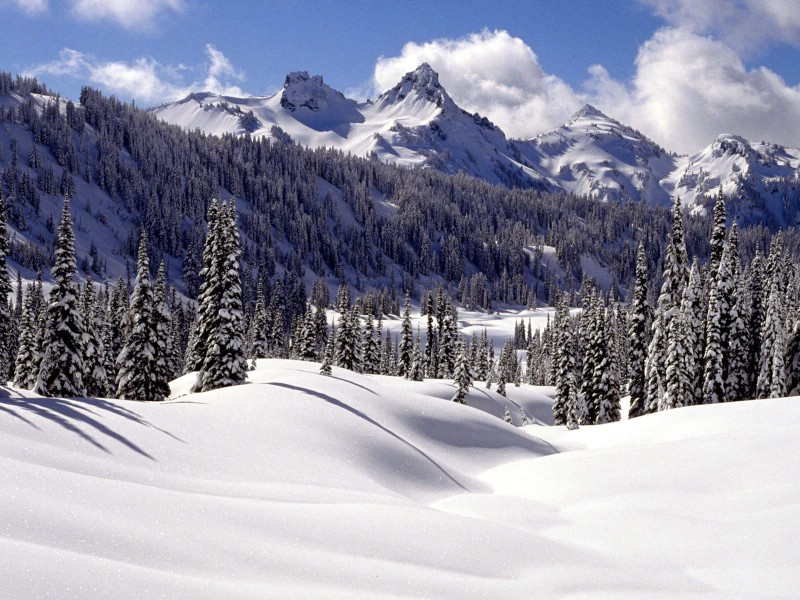 感受冬天 冰天雪地壁纸壁纸 感受冬天！冰天雪地壁纸壁纸 感受冬天！冰天雪地壁纸图片 感受冬天！冰天雪地壁纸素材 风景壁纸 风景图库 风景图片素材桌面壁纸