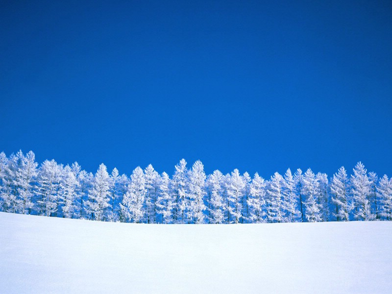 感受冬天 冰天雪地壁纸壁纸 感受冬天！冰天雪地壁纸壁纸 感受冬天！冰天雪地壁纸图片 感受冬天！冰天雪地壁纸素材 风景壁纸 风景图库 风景图片素材桌面壁纸