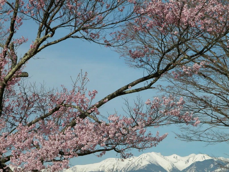 高清晰风景桌面壁纸壁纸 高清晰风景桌面壁纸壁纸 高清晰风景桌面壁纸图片 高清晰风景桌面壁纸素材 风景壁纸 风景图库 风景图片素材桌面壁纸