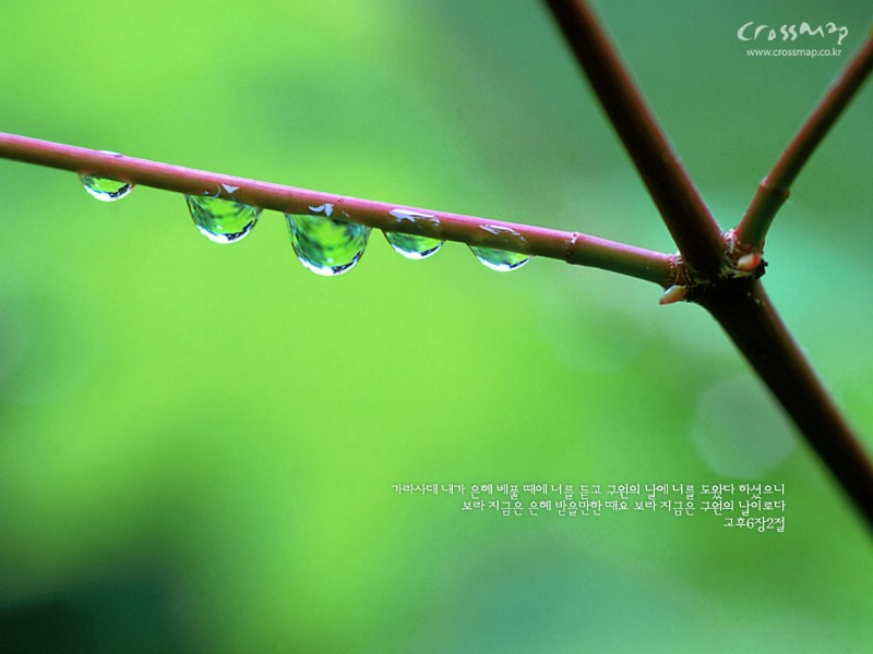 韩国版圣经壁纸 风景篇 二 圣经福音风景壁纸 圣经诗歌风景壁纸壁纸 韩国版圣经壁纸 自然风景篇(二)壁纸 韩国版圣经壁纸 自然风景篇(二)图片 韩国版圣经壁纸 自然风景篇(二)素材 风景壁纸 风景图库 风景图片素材桌面壁纸