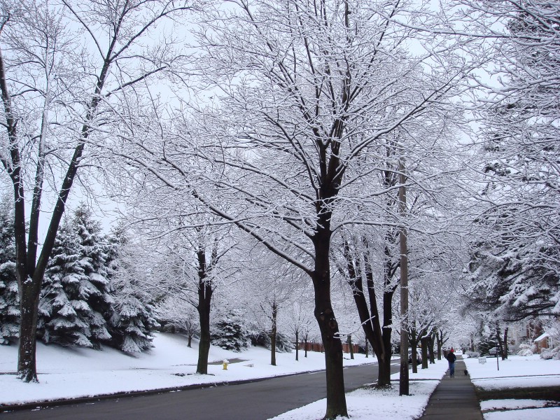 宽屏冬日雪景桌面壁纸壁纸 宽屏冬日雪景桌面壁纸壁纸 宽屏冬日雪景桌面壁纸图片 宽屏冬日雪景桌面壁纸素材 风景壁纸 风景图库 风景图片素材桌面壁纸