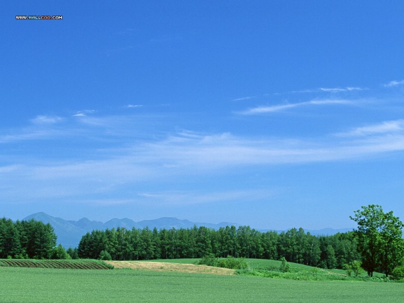  田园原野风景壁纸 Desktop Wallpaper of Farm Lanscape壁纸 美丽田园风景摄影壁纸 美丽田园风景摄影图片 美丽田园风景摄影素材 风景壁纸 风景图库 风景图片素材桌面壁纸