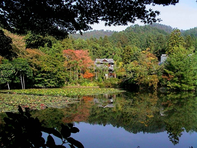 日本风光 壁纸86壁纸 日本风光壁纸 日本风光图片 日本风光素材 风景壁纸 风景图库 风景图片素材桌面壁纸