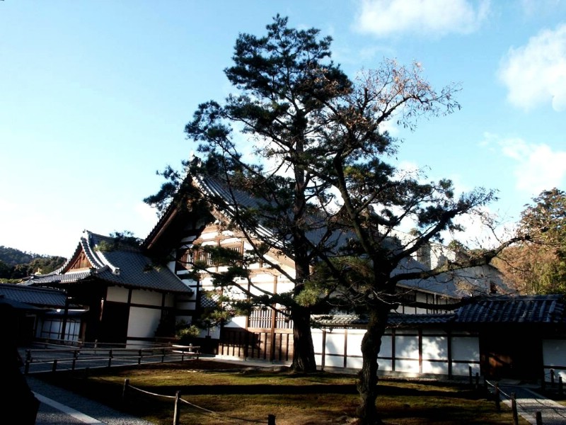 日本风光 壁纸42壁纸 日本风光壁纸 日本风光图片 日本风光素材 风景壁纸 风景图库 风景图片素材桌面壁纸