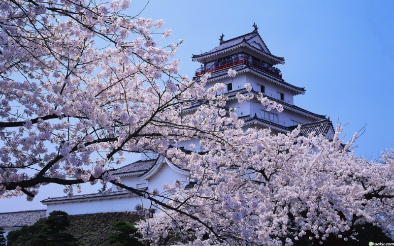 日本风景高清宽屏壁纸 壁纸11壁纸 日本风景高清宽屏壁纸壁纸 日本风景高清宽屏壁纸图片 日本风景高清宽屏壁纸素材 风景壁纸 风景图库 风景图片素材桌面壁纸