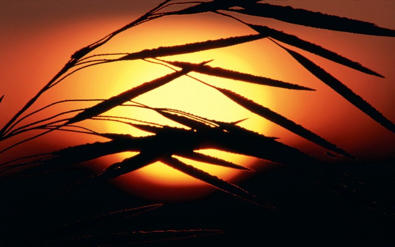 日落日出太阳云霄夜景黄昏壁纸 特辑三 壁纸20壁纸 日落日出太阳云霄夜景壁纸 日落日出太阳云霄夜景图片 日落日出太阳云霄夜景素材 风景壁纸 风景图库 风景图片素材桌面壁纸